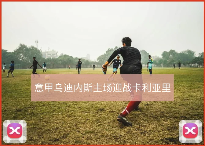 意甲乌迪内斯主场迎战卡利亚里