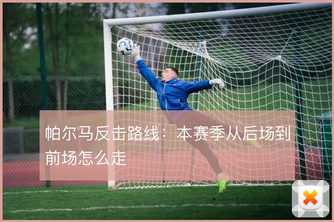 帕尔马反击路线：本赛季从后场到前场怎么走